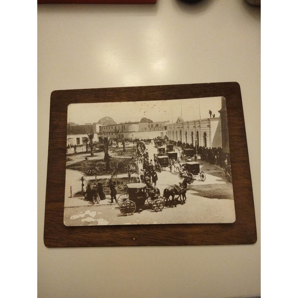 Vintage Photograph Horse Carriage Palm Trees 1800's wood mounted wall hanging.